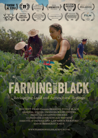 Cartaz do Filme Terra negra, mãos negras
