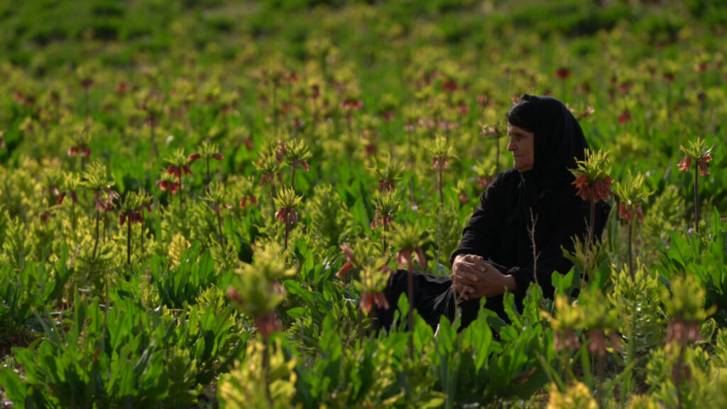 iranian-woman-flowers