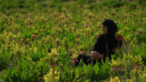 iranian-woman-flowers