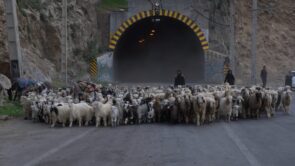iranian-woman-tunnel