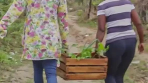 still-vertical-12-LEILA-DA-SILVA-Xavier